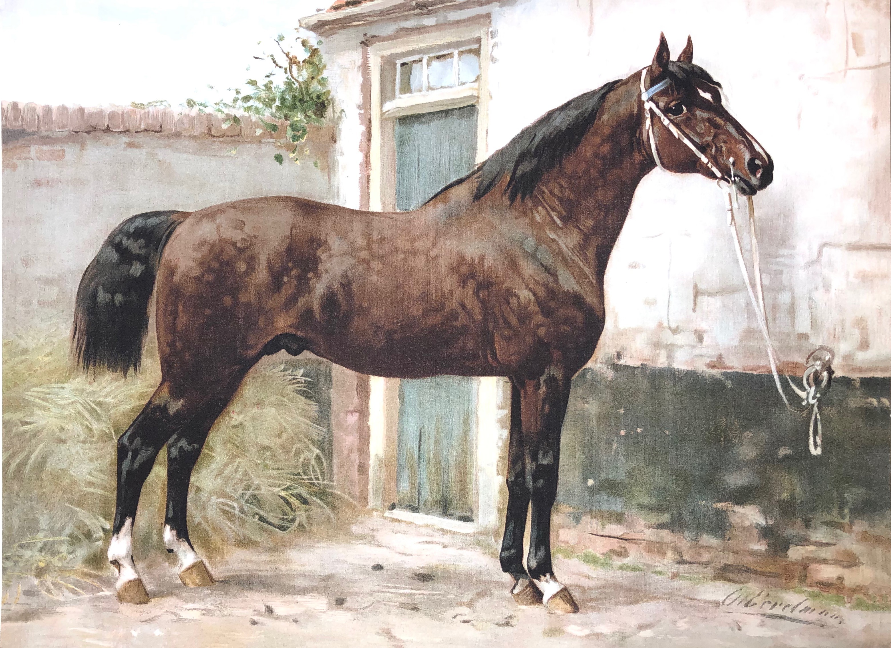 Norman Horse