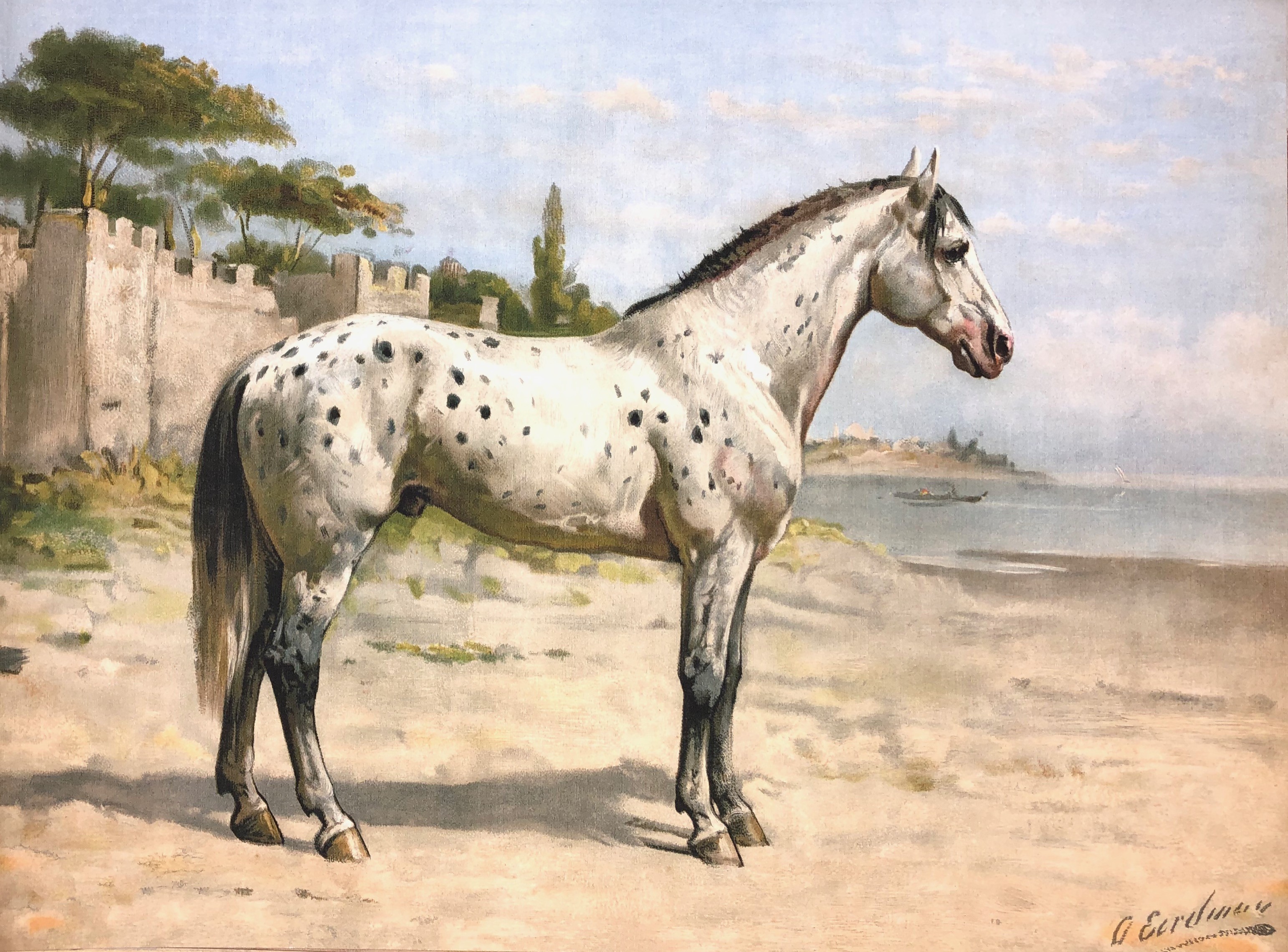 Turkish Horse