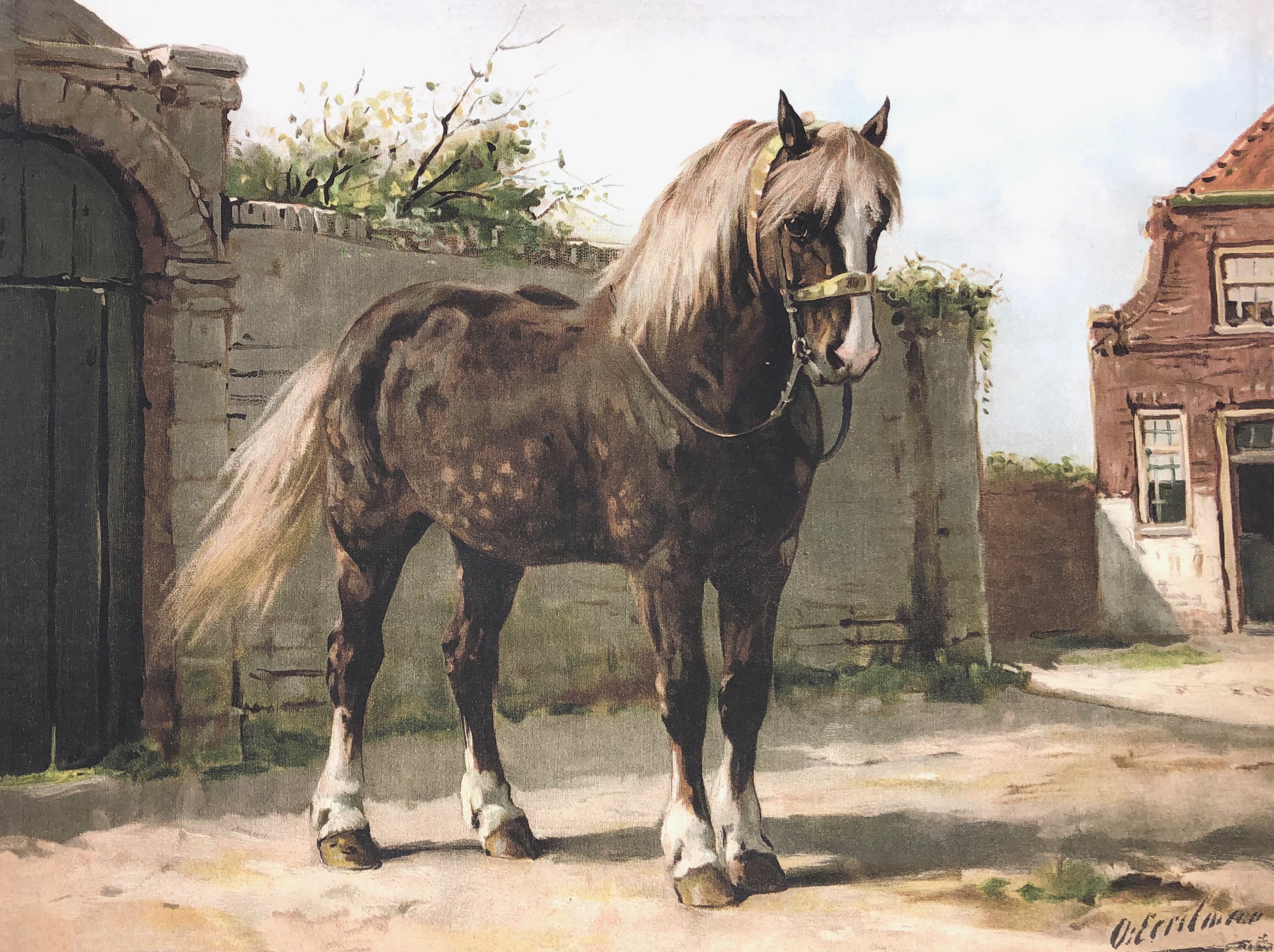 Eerelman Horse #3